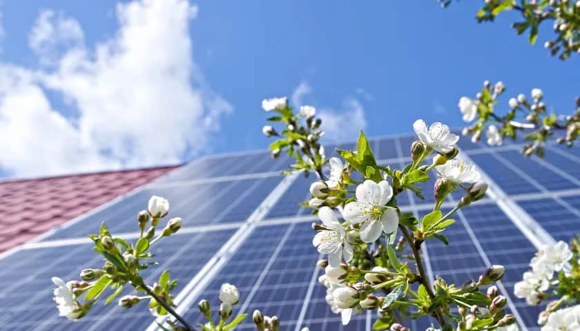 Do kiedy założyć fotowoltaikę? Najlepszy termin i korzyści