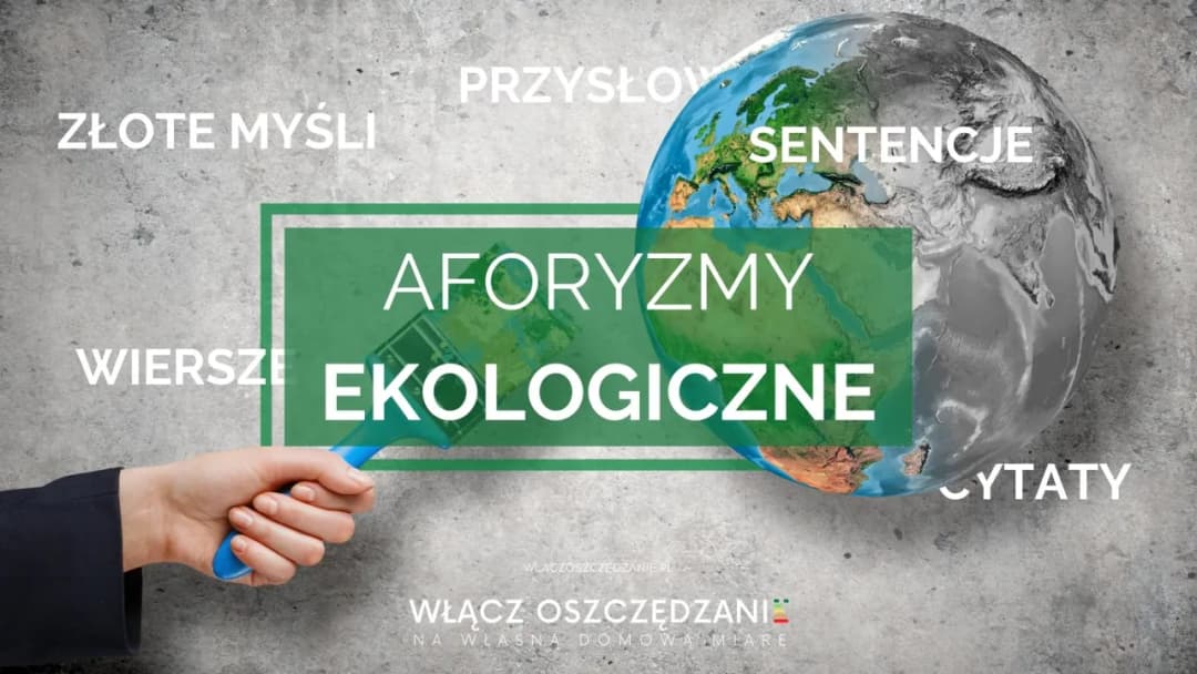 Filmy proekologiczne, które zmienią twoje myślenie o przyszłości planety