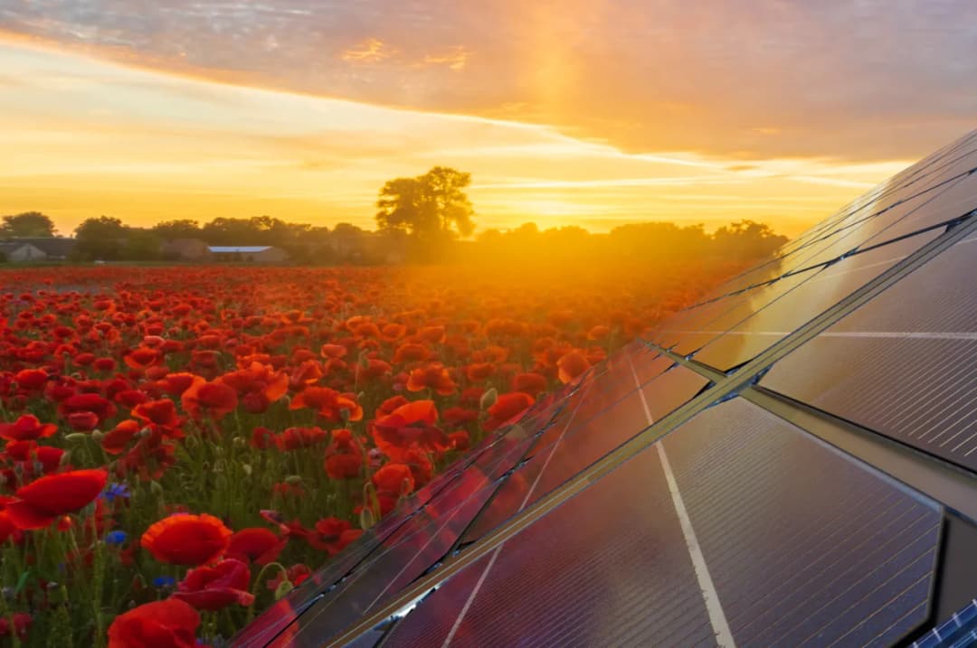 JA Solar 380W: Wydajny Panel Fotowoltaiczny dla Każdej Instalacji